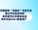 揭秘1月高效引流黑科技：轻松绕过私信限制，日引500+精准粉丝，无限私信发送技巧大公开！