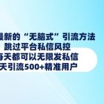 揭秘1月高效引流黑科技：轻松绕过私信限制，日引500+精准粉丝，无限私信发送技巧大公开！