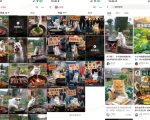 猫咪做饭视频火爆全网！小白一周吸粉2万，单条播放破10万，揭秘背后的涨粉秘籍（附完整教程）