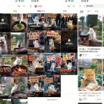 猫咪做饭视频火爆全网！小白一周吸粉2万，单条播放破10万，揭秘背后的涨粉秘籍（附完整教程）