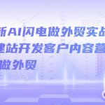 2025年AI赋能外贸快速盈利秘籍，从零基础到高手，一站式掌握外贸建站与客户开发攻略！