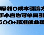 0成本高效引流秘籍！2月最新攻略，新手小白也能轻松日引500+精准创业粉丝！
