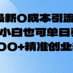 0成本高效引流秘籍！2月最新攻略，新手小白也能轻松日引500+精准创业粉丝！