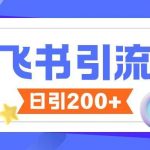 飞书高效引流秘籍：创业粉增长攻略，无限私信零违规技巧大揭秘！
