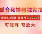搜狐独家音频挂机技术，抢占红利先机，矩阵放大操作，轻松月入8000+，揭秘稳定赚钱秘籍！