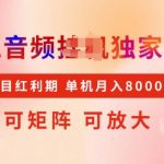搜狐独家音频挂机技术，抢占红利先机，矩阵放大操作，轻松月入8000+，揭秘稳定赚钱秘籍！