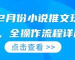 25年2月小说推广秘籍大揭秘：全流程操作详解，轻松引爆流量！
