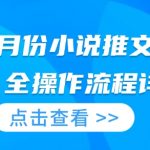 25年2月小说推广秘籍大揭秘：全流程操作详解，轻松引爆流量！
