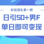 男粉引流秘籍：零违规操作，实现24小时快速变现！