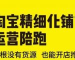 淘宝开店攻略：零货源也能月入过万！2025最新精细化铺货运营全程陪跑，草根逆袭必看