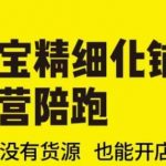 淘宝开店攻略：零货源也能月入过万！2025最新精细化铺货运营全程陪跑，草根逆袭必看