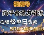 跨平台高效引流攻略：打造私域流量池，每日狂揽500+高价值创业粉丝！