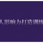揭秘：从0到1，打造个人IP影响力训练营！掌握独家公域引流、私域运营秘诀，轻松实现产品定位，逆袭人生！