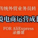 跨境电商速卖通运营教程大揭秘：独家运营方法论+后台实操详解，逻辑清晰易懂！