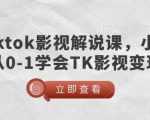TikTok影视解说新手教程，0基础快速掌握影视变现技巧，月入过万不是梦！