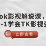 TikTok影视解说新手教程，0基础快速掌握影视变现技巧，月入过万不是梦！