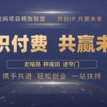 2025年独家揭秘：他们如何通过知识付费卖项目，轻松实现年入百万神话！
