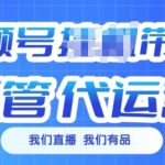 视频号直播带货躺赢攻略，月入3000+的赚钱秘诀大公开！