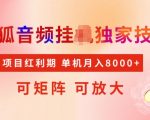 搜狐独家首发音频挂机项目，红利期疯狂赚钱，矩阵放大操作，轻松实现月入5000+稳定收入，揭秘内幕操作技巧！