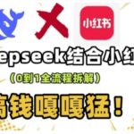 揭秘DEEPSEEK+小红书流量变现秘诀，从0到1实战课程，轻松实现财富增长！