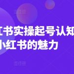 2025年小红书起号秘籍！掌握实操技巧，揭秘小红书的无限魅力！
