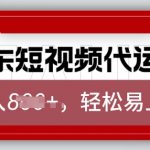 2025年京东带货代运营翻盘攻略：上传视频轻松月入8000+，独家揭秘稳定盈利秘诀！