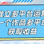 小说跨平台运营秘籍：一稿多投，最大化收益攻略揭秘！