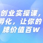揭秘：从0到1打造知识IP创业神话，实操课程助你实现个人品牌价值百万倍增！