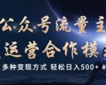 公众号流量主代运营秘籍：掌握多种变现技巧，轻松实现日入5张，独家揭秘！