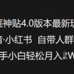 天涯神贴4.0版独家揭秘：抖音小红书爆款引流攻略，新手也能月入过万！
