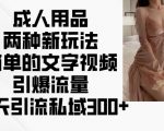 揭秘成人用品独家新玩法：轻松文字视频操作，日引300+私域流量，火爆抢夺市场焦点！
