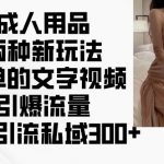 揭秘成人用品独家新玩法：轻松文字视频操作，日引300+私域流量，火爆抢夺市场焦点！