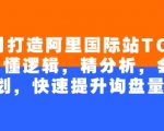4个月逆袭成阿里国际站TOP店铺！掌握核心逻辑，精准数据分析，完美规划，询盘量暴增秘籍大公开！