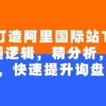 4个月逆袭成阿里国际站TOP店铺！掌握核心逻辑，精准数据分析，完美规划，询盘量暴增秘籍大公开！