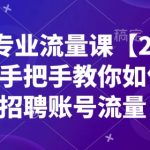 揭秘2025最新BOSS流量秘籍！一对一指导，让你的招聘账号流量翻倍！