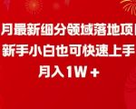 新手必看！2月热门细分领域项目实操，轻松上手，月入过万不是梦！