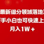 新手必看！2月热门细分领域项目实操，轻松上手，月入过万不是梦！