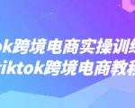 TIKTOK跨境电商实战训练营：快速掌握月入过万的赚钱秘籍，独家教程揭秘！