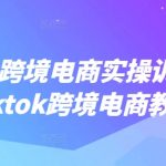 TIKTOK跨境电商实战训练营：快速掌握月入过万的赚钱秘籍，独家教程揭秘！