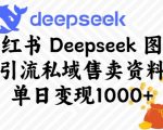 小红书DEEPSEEK图文引流攻略，单日狂揽千元，私域流量变现秘籍大公开！