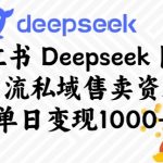 小红书DEEPSEEK图文引流攻略，单日狂揽千元，私域流量变现秘籍大公开！