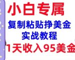 轻松复制粘贴日赚95美金，无门槛赚钱攻略，3分钟掌握，独家内部教程首次曝光！