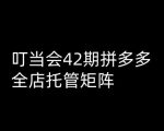 拼多多打爆班独家揭秘：第42期高阶技术，全店托管矩阵助你业绩飙升！