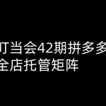 拼多多打爆班独家揭秘：第42期高阶技术，全店托管矩阵助你业绩飙升！