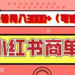 小红书躺赚攻略：月入3000+不是梦，仅需5分钟操作，揭秘矩阵放大技巧，挖掘长期稳定蓝海商机！