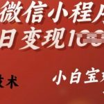 25年微信小程序推广秘诀：单日变现翻倍，独家技术曝光，小白宝妈也能轻松日入过万！揭秘赚钱攻略！