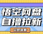 悟空网盘云真机自撸拉新项目，单机日赚10元起，独家首发攻略，轻松赚钱不是梦！