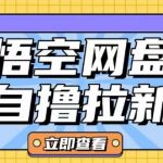 悟空网盘云真机自撸拉新项目，单机日赚10元起，独家首发攻略，轻松赚钱不是梦！