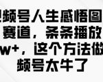 视频号运营爆款秘籍！人生感悟图文赛道日引1000+精准粉，新手3天起号轻松打造10W+播放