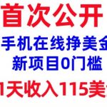 2025最新全球爆火赚美金项目！零门槛无脑日赚115美金保姆级教程（躺赚+被动收入）